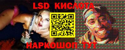 спайс Берёзовский